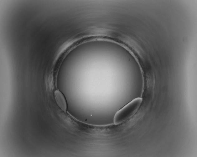 X0000115511069200911061352