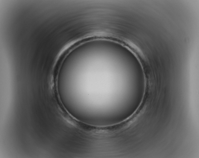 X0000115511070200911061352