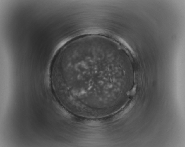 X0000115511071200911061352