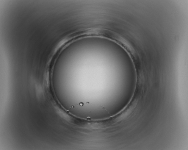 X0000115511075200911061352