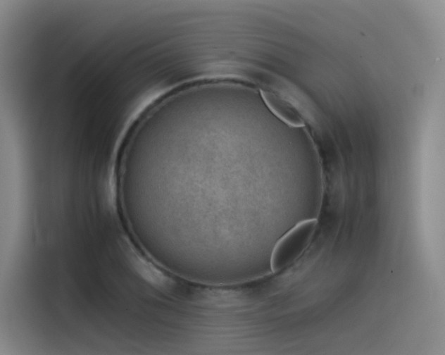 X0000115511076200911061352
