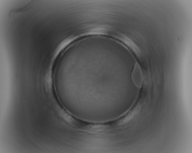 X0000115511077200911061352