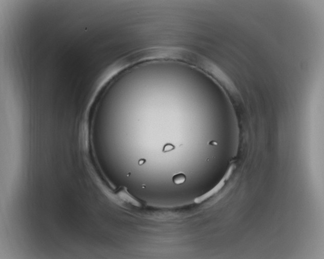 X0000115511079200911061352