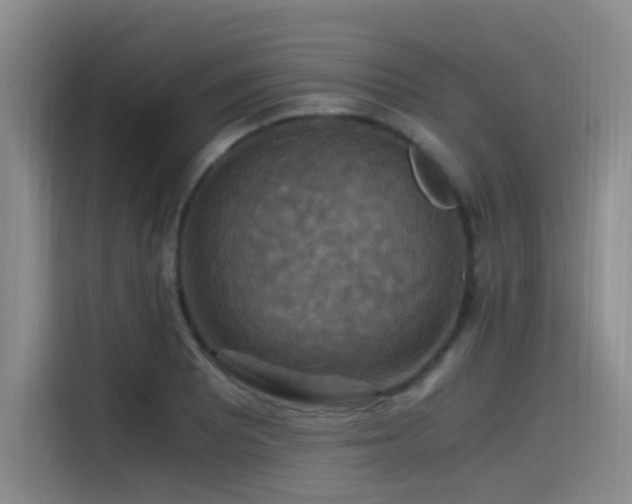 X0000115511081200911061352