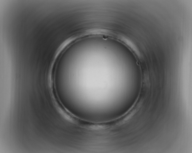 X0000115511082200911061352