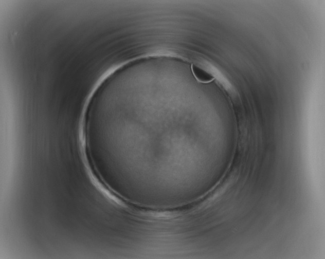 X0000115511084200911061352