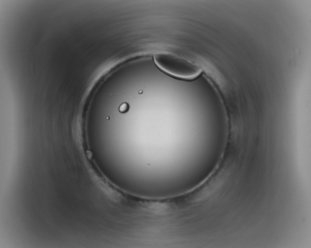 X0000115511085200911061351