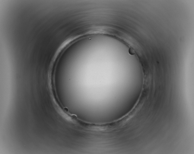 X0000115511086200911061351