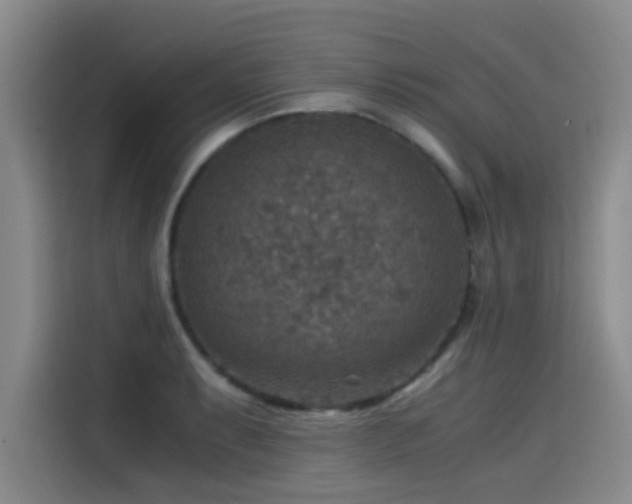 X0000115511087200911061351