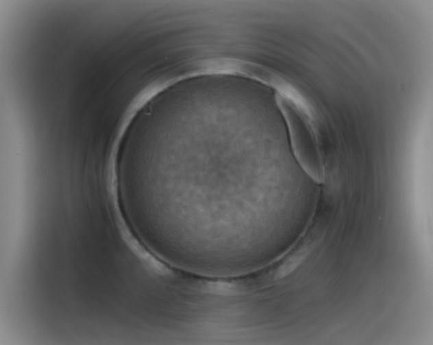 X0000115511088200911061351