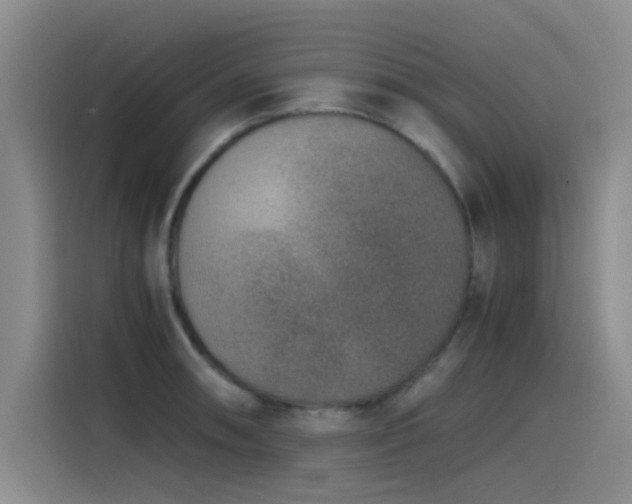 X0000115511090200911061351