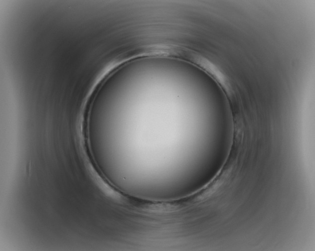 X0000115511091200911061351