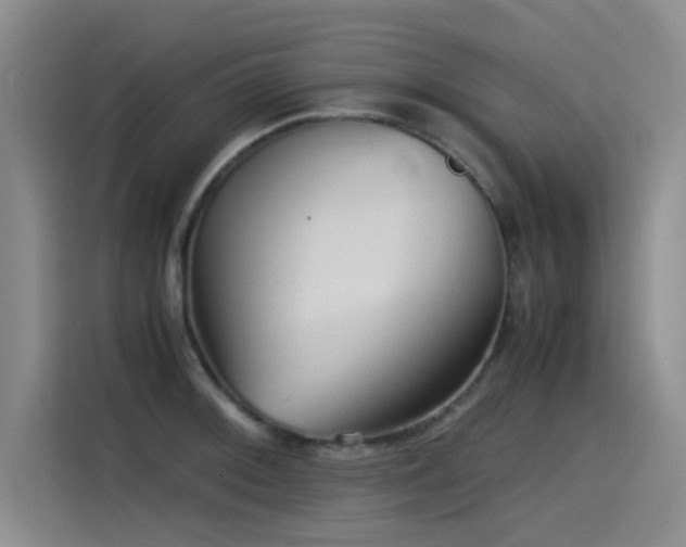 X0000115511092200911061351