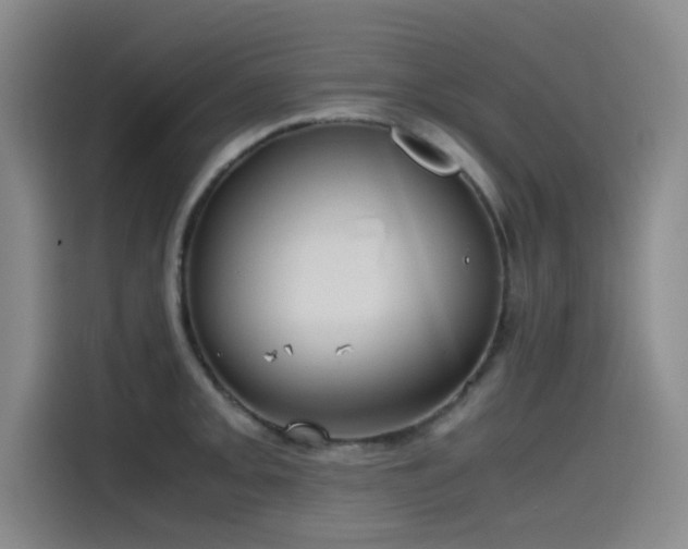 X0000115511093200911061351