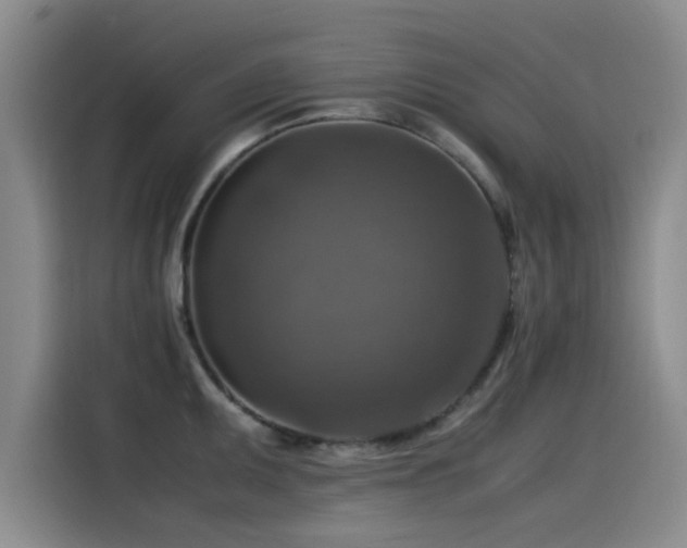 X0000115511095200911061351