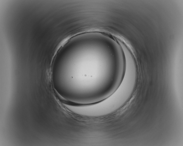 X0000115511097200911061351