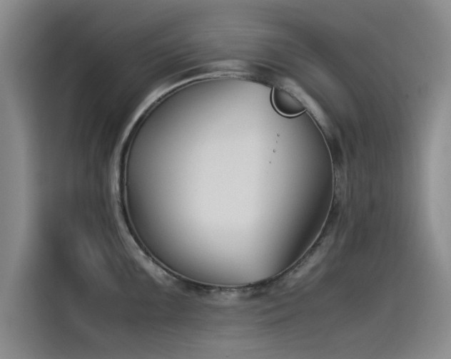 X0000115511099200911061351