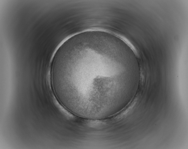 X0000115511100200911061351