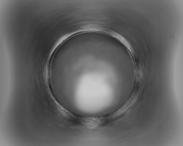 X0000115511101200911061351