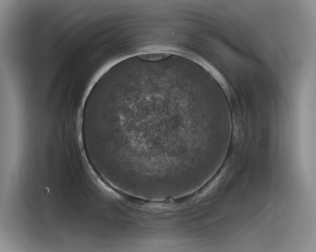 X0000115511102200911061351