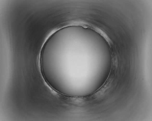 X0000115511103200911061351