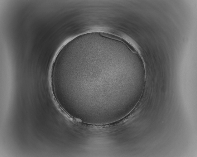 X0000115511104200911061351
