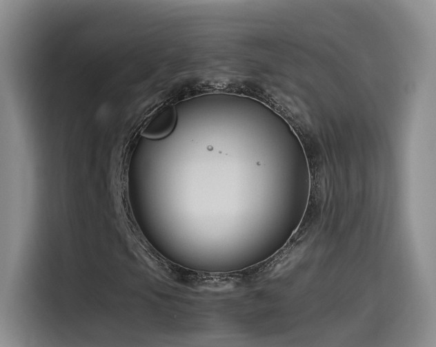 X0000115511105200911061351