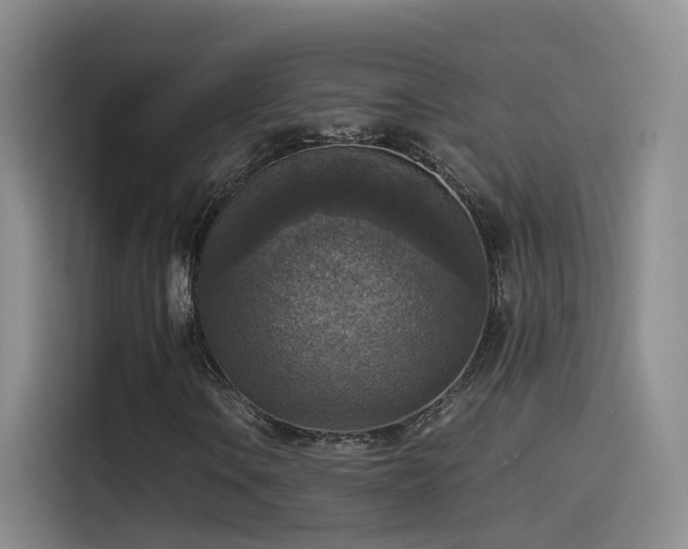 X0000115511106200911061351