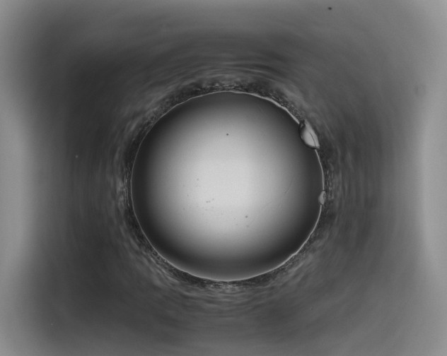 X0000115511109200911061351