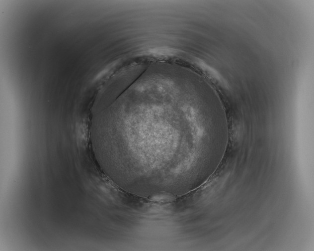 X0000115511110200911061351