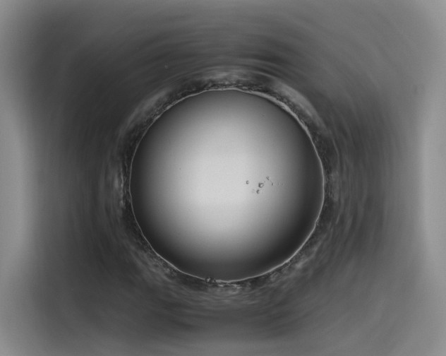 X0000115511111200911061351
