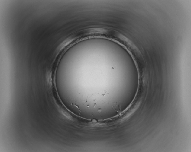X0000115511113200911061351