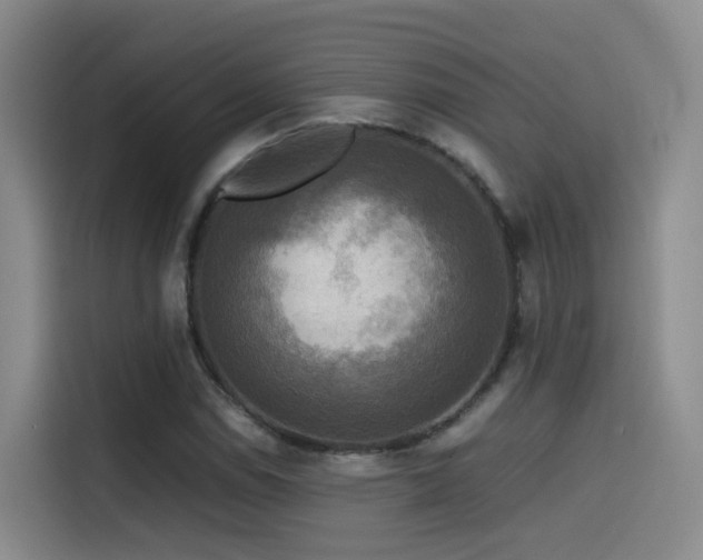 X0000115511114200911061351