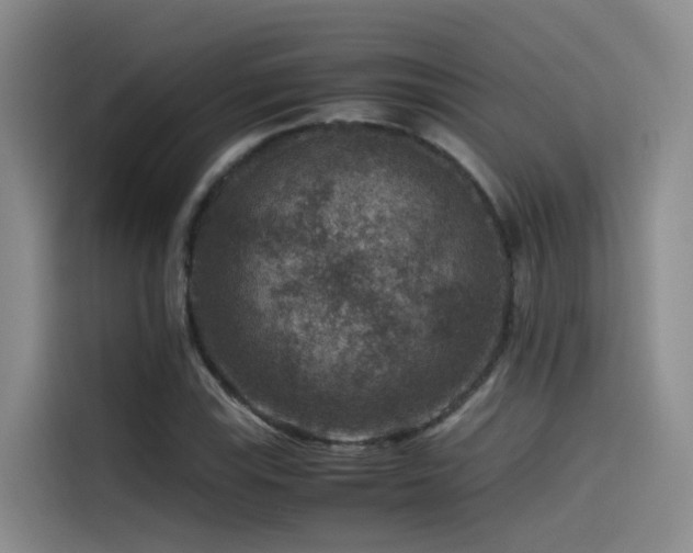 X0000115511115200911061351