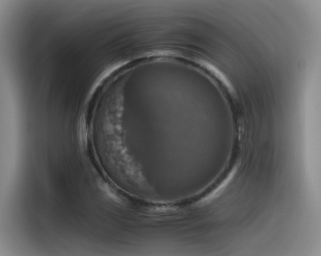 X0000115511117200911061351