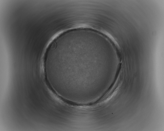 X0000115511118200911061351
