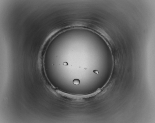 X0000115511119200911061351