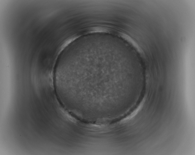 X0000115511121200911061351