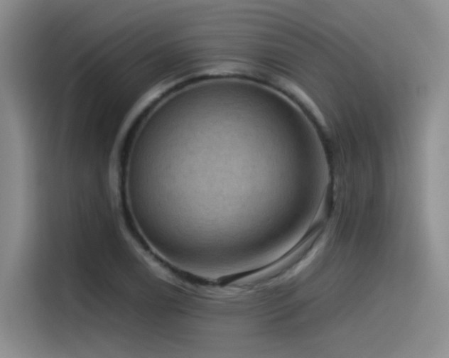 X0000115511122200911061351