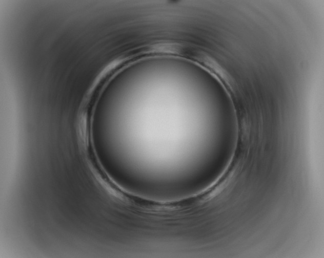 X0000115511123200911061351