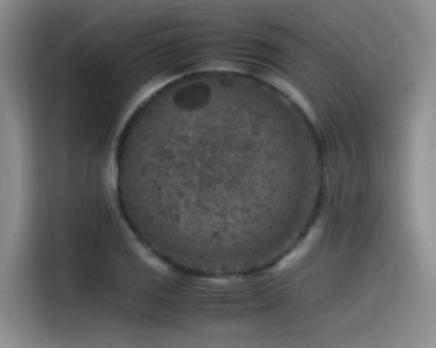 X0000115511125200911061351