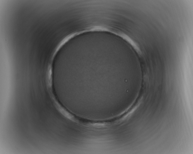 X0000115511126200911061351