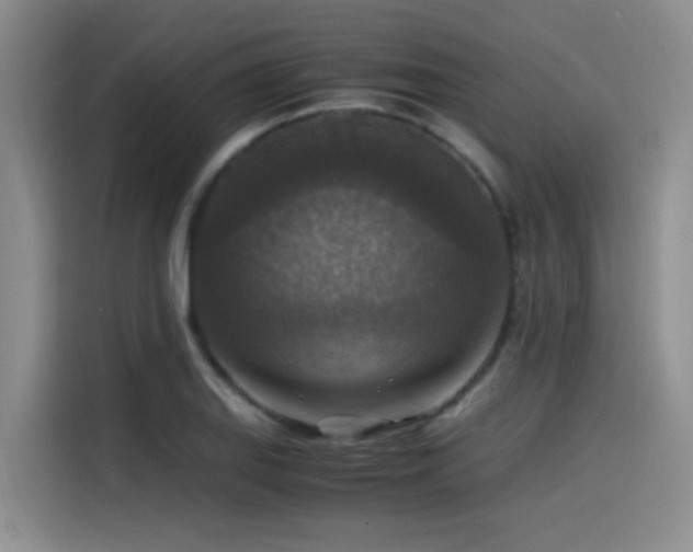 X0000115511127200911061351