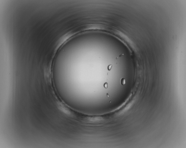 X0000115511129200911061351