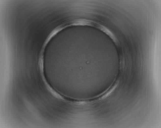 X0000115511130200911061351