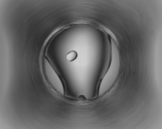 X0000115511138200911061351