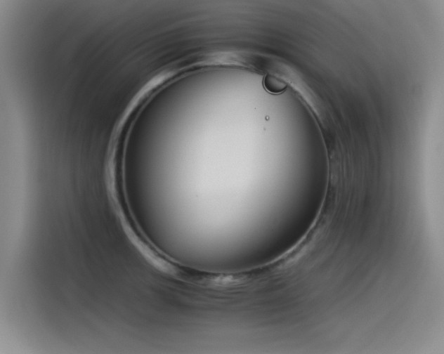 X0000115511139200911061351