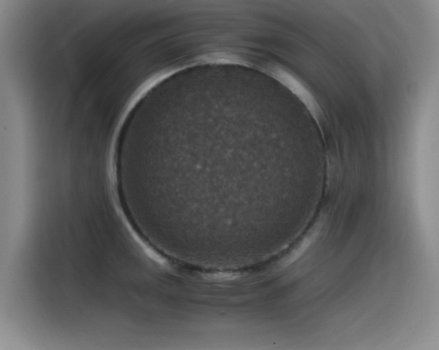 X0000115511141200911061351