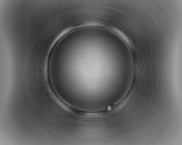 X0000115511142200911061351