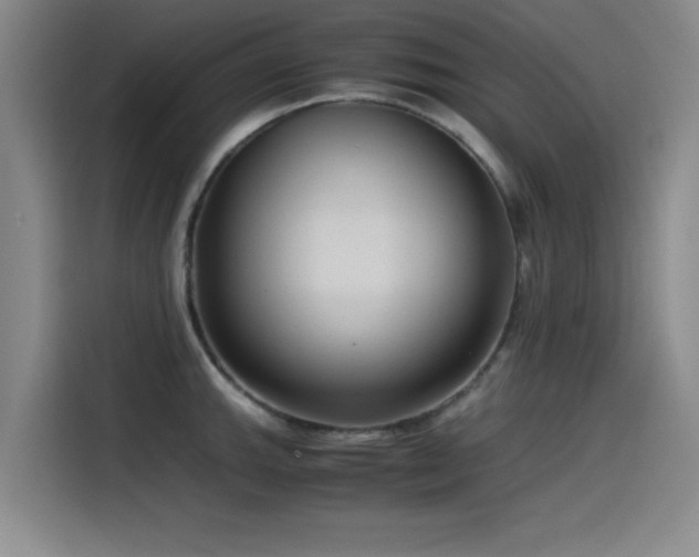 X0000115511143200911061351